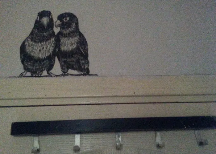 Taxim (adults Only) Hostel Isztambul